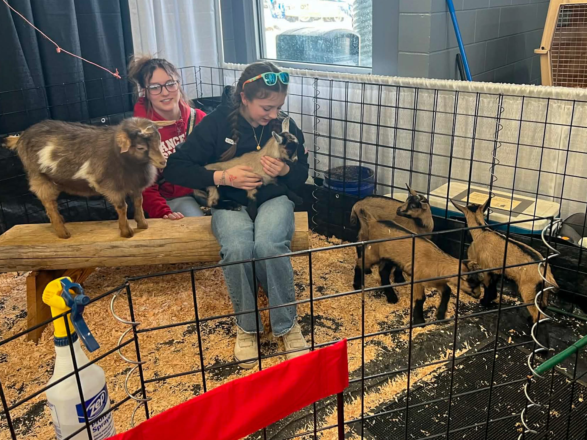 Participants care for goats at the Alaska Farm and Garden Show