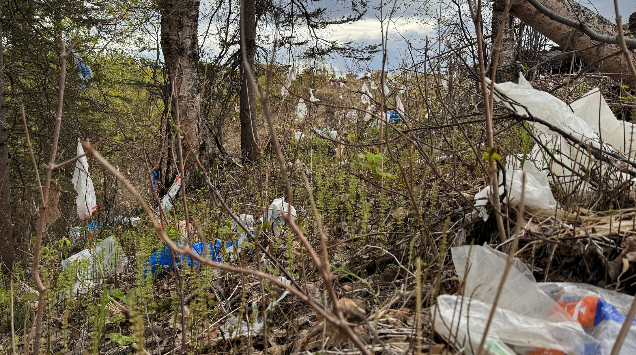 Spring cleanup efforts return to Mat-Su with a new event coming to Crevasse-Moraine