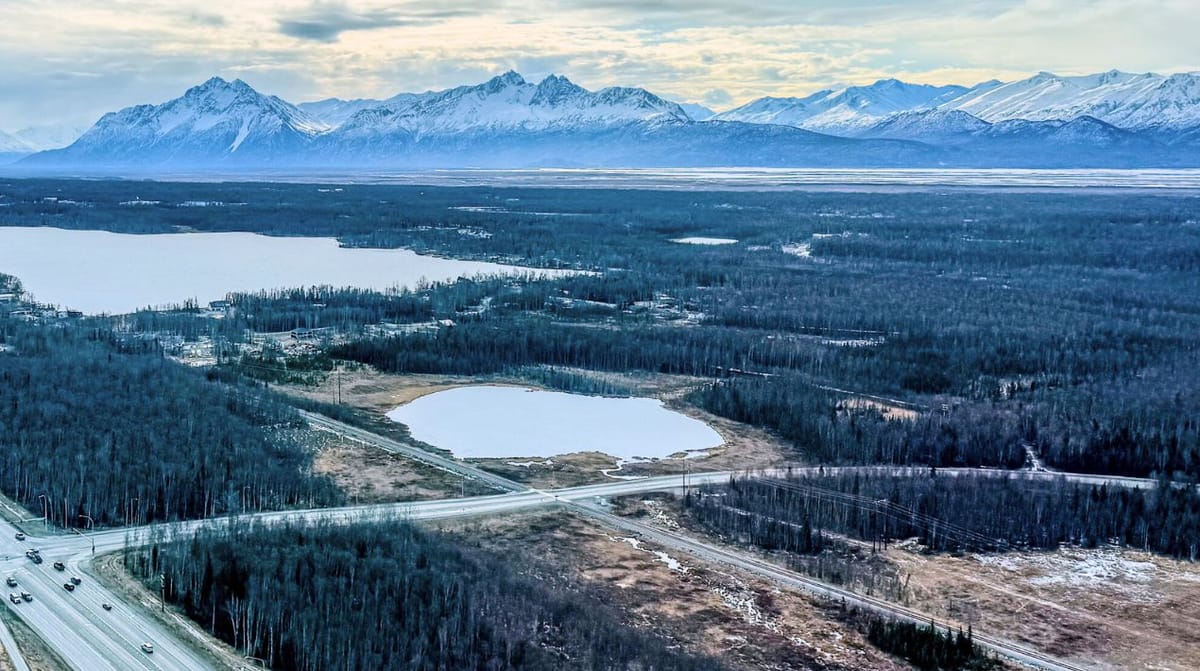 A new city-funded grant will help Wasilla residents remove dead spruce trees