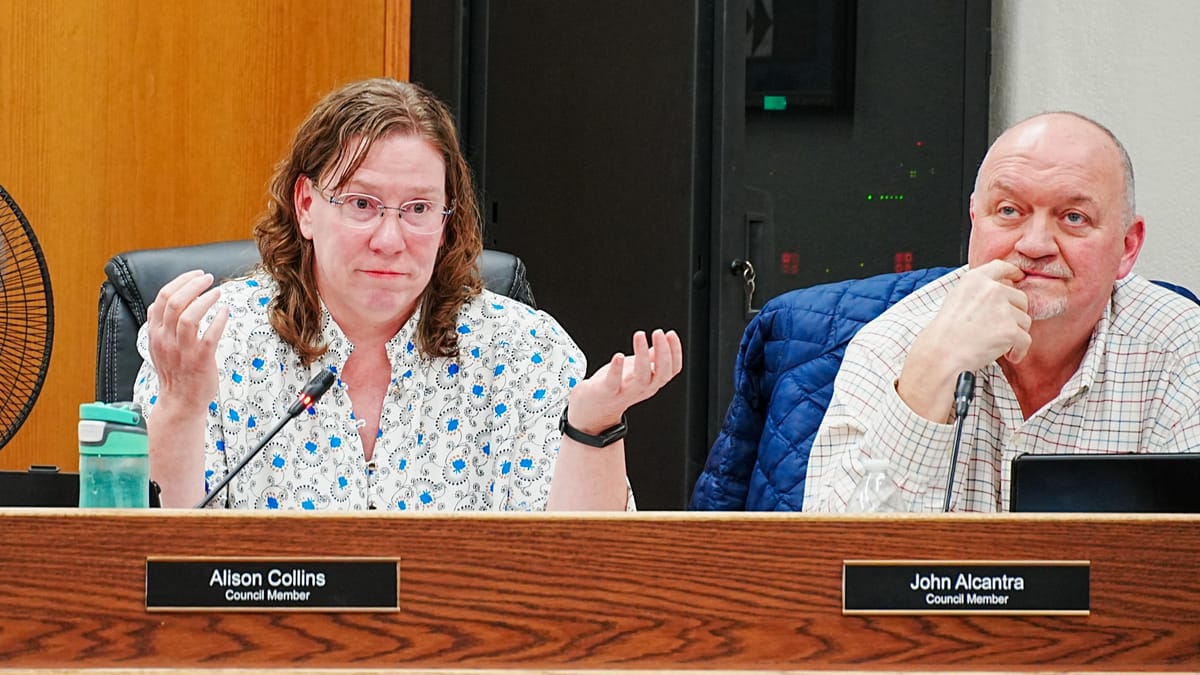 Palmer council approves temporary sales tax hike for new library