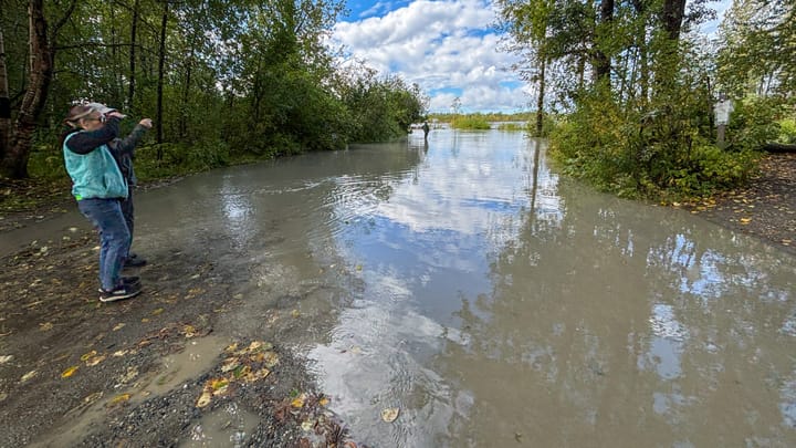 Individuals observe flood waters from the Susitna River