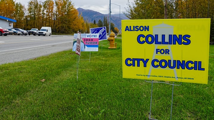 Election signs advertise Palmer candidates