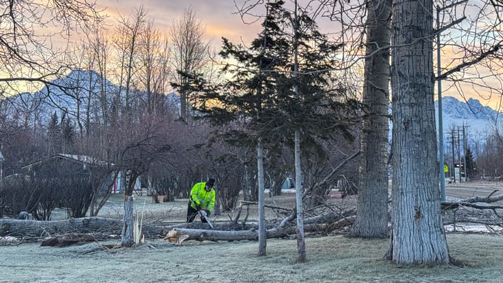 A man clears downed trees from in front of an apartment complex 