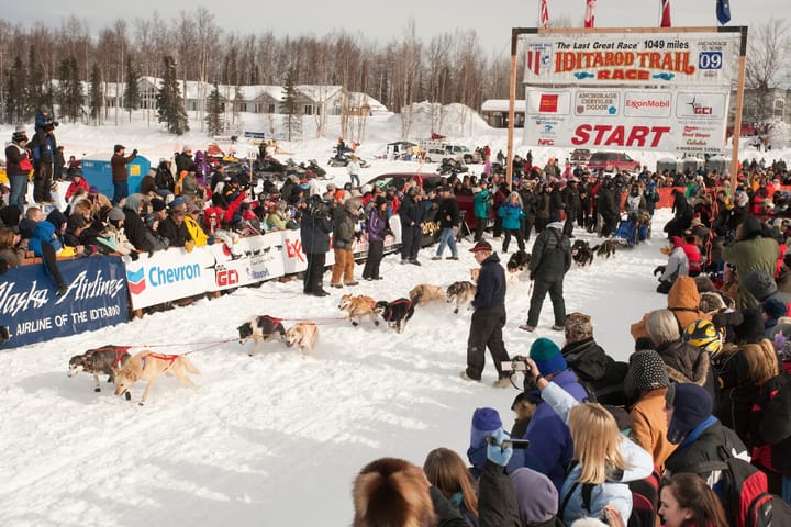 A dog team takes off at the Iditarod Trail Race restart in Willow, Alaska.